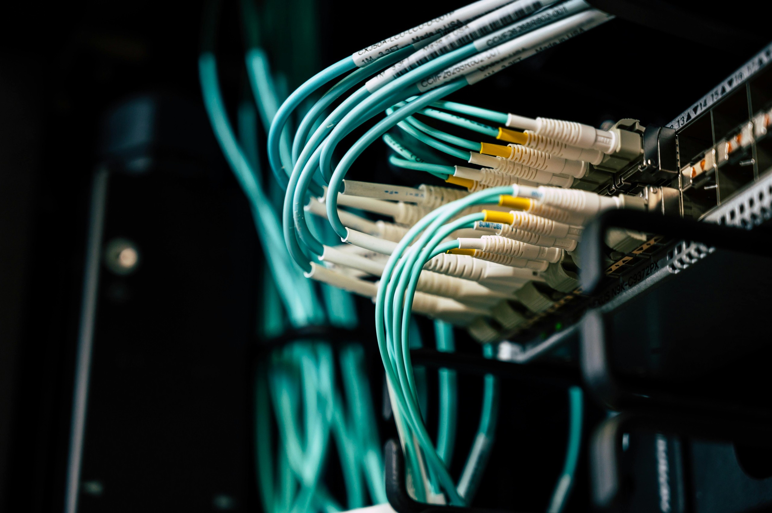 lemaportal netwerk scaled